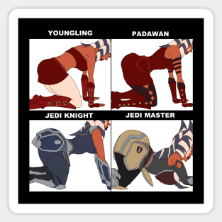 Youngling To Master Sticker